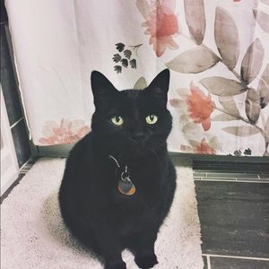 Meet your Posher, Carly